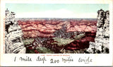 AZ, GRAND CANYON - view into - Detroit Photographic postcard - NL0804
