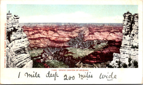 AZ, GRAND CANYON - view into - Detroit Photographic postcard - NL0804