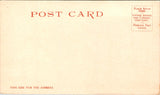 AZ, GRAND CANYON - from Grand View Point - Detroit Photographic postcard - NL0805