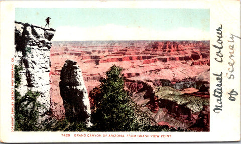 AZ, GRAND CANYON - from Grand View Point - Detroit Photographic postcard - NL0805