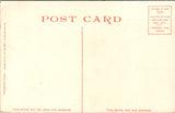 CO, PIKES PEAK - Summit view including structure  - Detroit Photographic postcard - NL0808