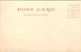 NM, ENCANTED MESA - close up of Mesa Encantada - Detroit Photographic postcard - NL0812