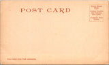 WA, SNOQUALMIE - Falls up close - Detroit Photographic postcard - NL0816