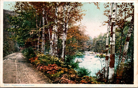 Unknown Location - ROADWAY IN THE MOUNTAINS - Detroit Photographic postcard - NL0818
