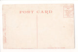 NH, DIXVILLE NOTCH - The Flume (close up) - Detroit Publishing Co postcard - NL0822
