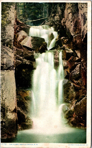 NH, DIXVILLE NOTCH - The Flume (close up) - Detroit Publishing Co postcard - NL0822