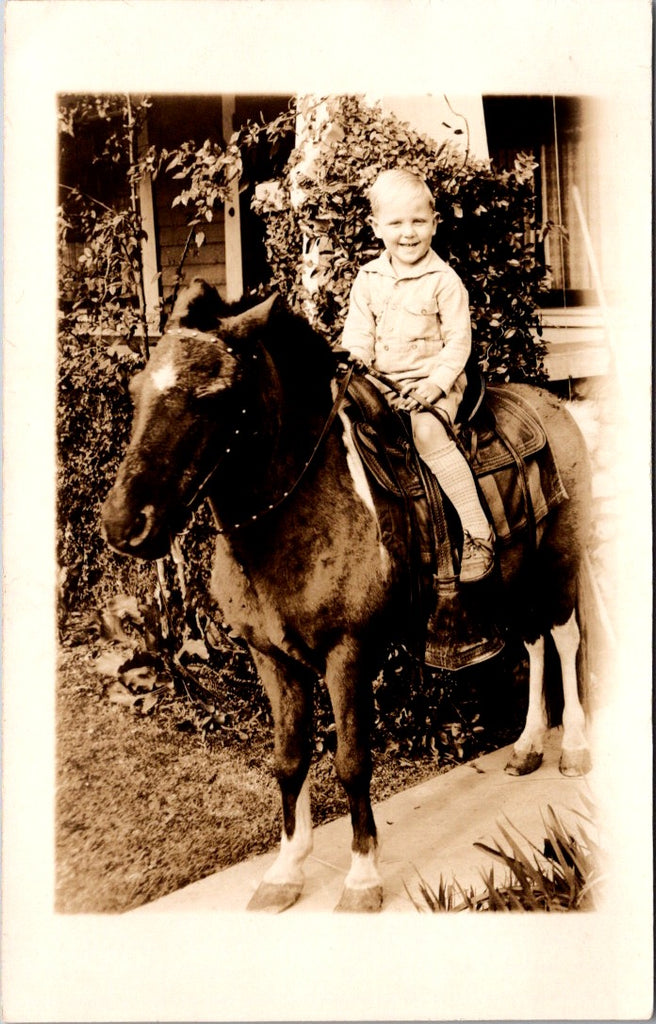 People - Boy - sitting up on a saddle on a small horse RPPC - NL0891