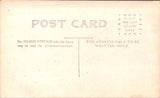 People - Child - Young girl walking, mom with stroller behind, dog on side RPPC - NL0900