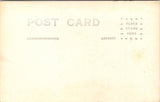 NH, SULLIVAN - Otter Pond, Mt Kearsarge from Georges Mills RPPC postcard - NL0927