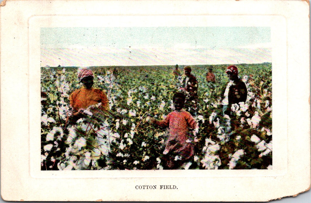 Black Americana - Cotton Workers, including child postcard - R00571