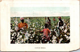 Black Americana - Cotton Workers, including child postcard - R00571