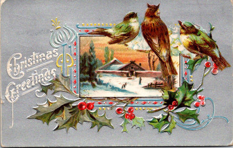Xmas - Christmas Greetings - Owl and other birds postcard