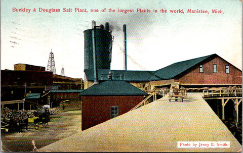 MI, Manistee - Buckley & Douglass Salt Plant - 1910 postcard - SL2662