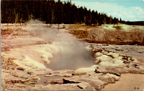 WY, YELLOWSTONE - Oblong Geyser Crater, Yellowstone Park postcard - SL2884