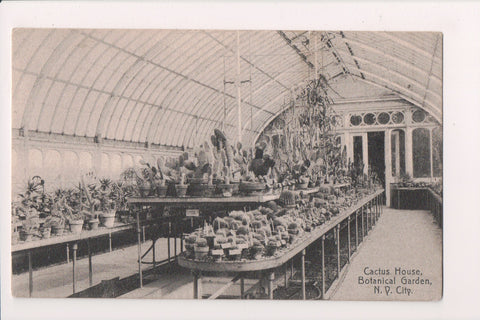 NY, NEW YORK CITY - Botanical Garden Cactus House interior postcard - SL3038
