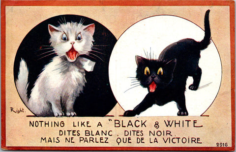 Animal - Cat or Cats postcard - NOTHING LIKE A BLACK & WHITE - SL3088
