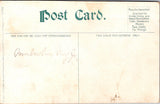 Animal - Dog or Dogs - ENGLISH POINTER? vintage postcard - T00202