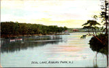 NJ, ASBURY PARK - Deal Lake - Rosin & Co #593 postcard - w00655