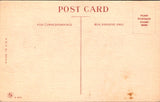 Greetings - Misc - Dutch GIRL in a flowered type dress postcard - w01199