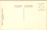 NH, NORTH CONWAY - Dianas Baths - man in suit standing on rocks - RPPC - w01744