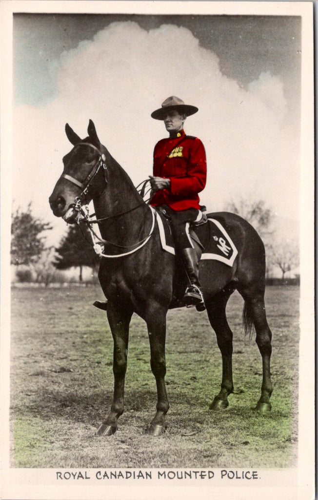Canada - RCMP - Mountie on horseback in uniform close up RPPC - W01775