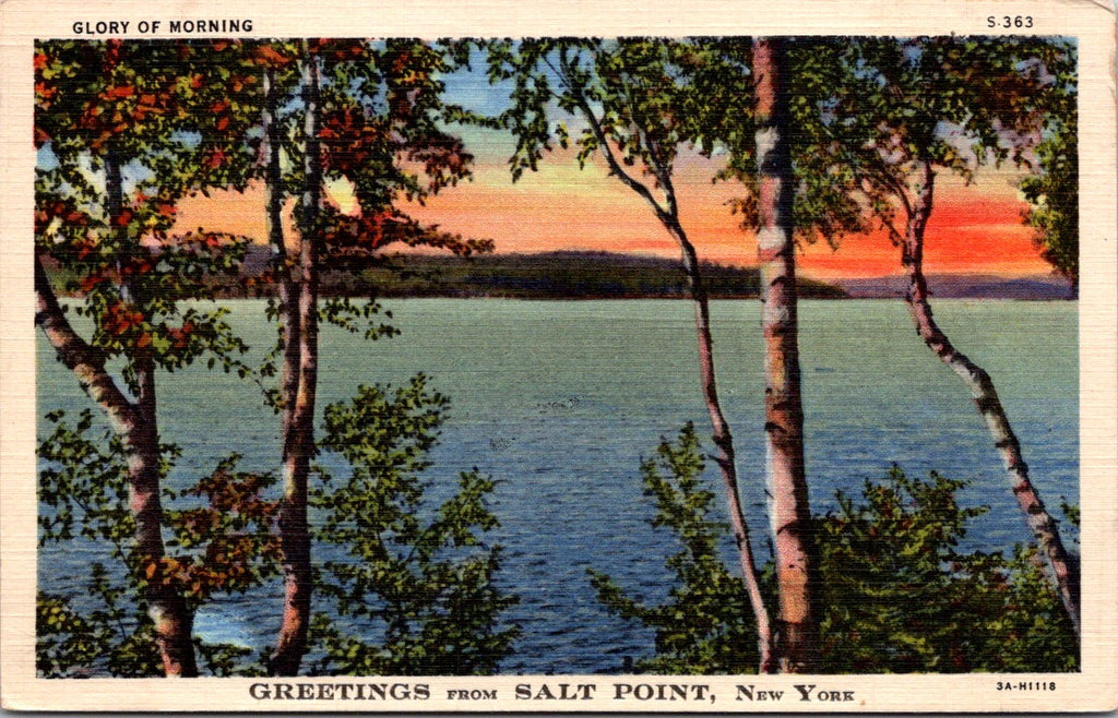 NY, SALT POINT - Greetings from - vintage postcard - W02660