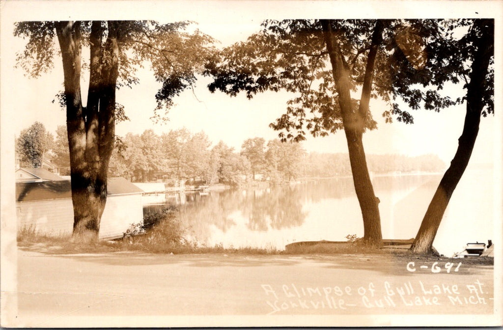MI, YORKVILLE - Gull Lake with shoreline - RPPC postcard - w02687