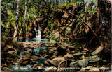 CA, SAN BERNARDINO - Arrowhead Hot Springs, Cold Water Canon postcard - w02705