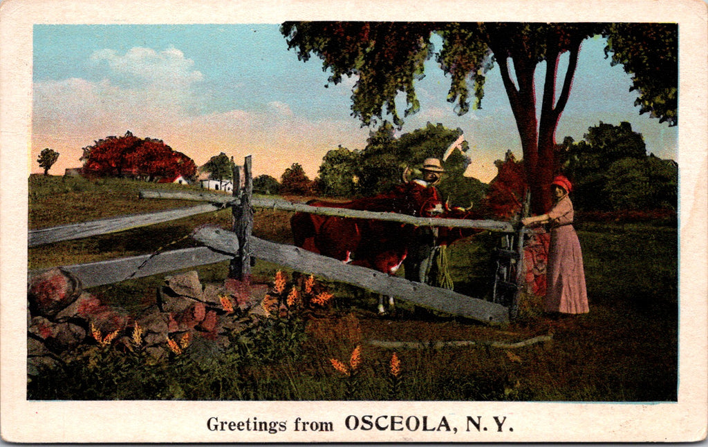NY, OSCEOLAO - Greetings from - 1924 postmarked postcard - w03414