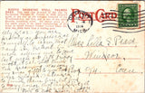 MI, DETROIT - Palmer Park, Rustic Drinking Well close up postcard - W03560