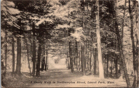 MA, Northampton - Laurel Park, Shady Walk/street postcard