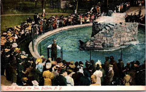 NY,  BUFFALO - Seal Pond at the zoo - 1907 postcard - w04336
