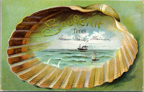 ME, OCEAN PARK - Souvenir from with Large shell - @1908 postcard - w04511