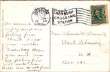 MA, JAMAICA PLAIN - Fowl at Jamaica Pond - 1908 postcard - w04518
