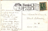 MA, Jamaica Plain - Fowl at Jamaica Pond - 1908 postcard - w04518