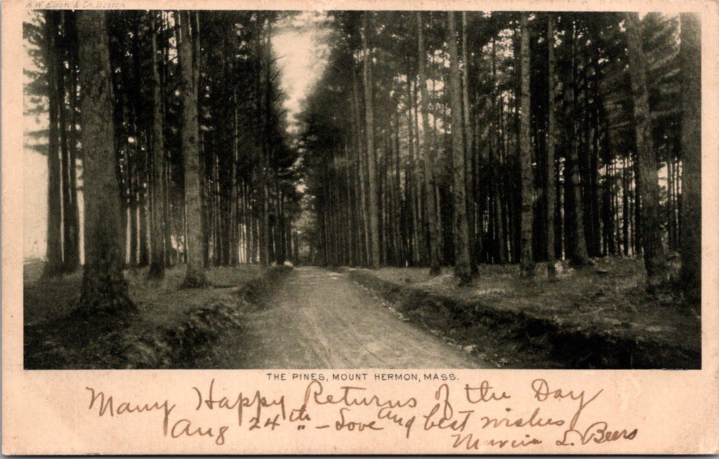MA, MOUNT HERMON - The Pines postcard - w04926