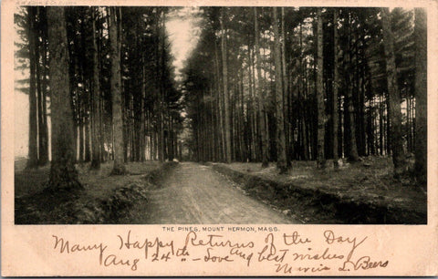 MA, MOUNT HERMON - The Pines postcard - w04926