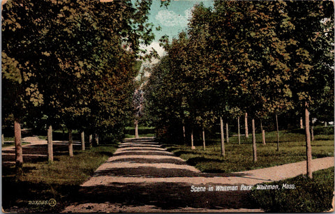 MA, WHITMAN - Whitman Park scene postcard - w04962