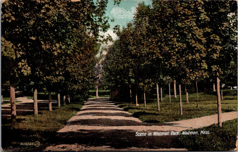 MA, Whitman - Whitman Park scene postcard - w04962