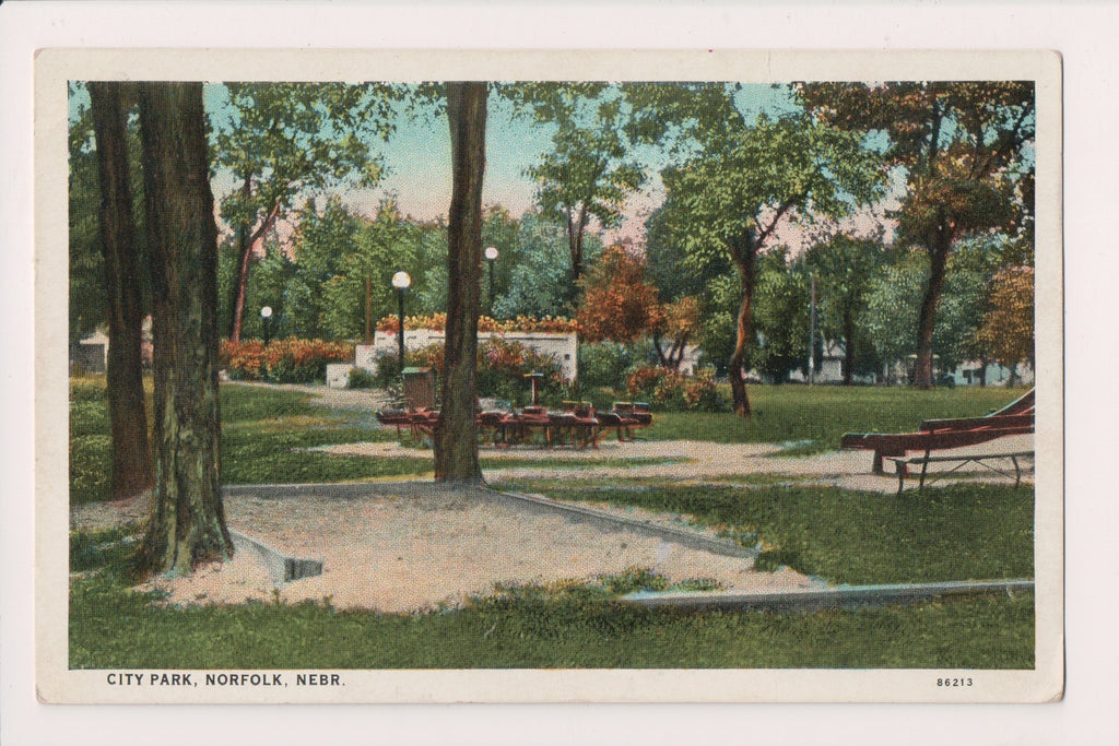 NE, NORFOLK - City Park - vintage linen postcard - wk0141