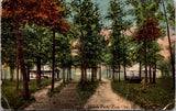 IL, ZION CITY - Shiloh Park, tent, building, paths- 1921 postcard - WK0187
