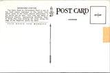 WY, YELLOWSTONE - Shoshone Canyon auto road, Yellowstone Park postcard - WK0265