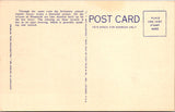 WY, YELLOWSTONE - Jupiter Terrace, Yellowstone Park postcard - WK0267