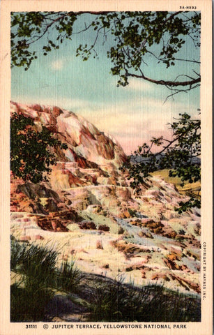 WY, YELLOWSTONE - Jupiter Terrace, Yellowstone Park postcard - WK0267