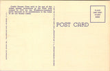 WY, YELLOWSTONE - Crested Pool, Castle Geyser Cone, Yellowstone Park postcard - wk0268