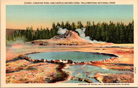 WY, YELLOWSTONE - Crested Pool, Castle Geyser Cone, Yellowstone Park postcard - wk0268