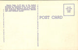 WY, YELLOWSTONE - Electric Peak, Yellowstone Park postcard - WK0270