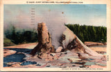 WY, YELLOWSTONE - Giant Geyser Cone close-up, Yellowstone Park postcard -wk0271