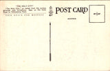 WY, YELLOWSTONE - Shoshone Canyon Holy City, Yellowstone Park postcard - WK0273