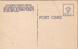 WY, YELLOWSTONE - Blue Springs, Mammoth Terraces, Yellowstone Park postcard - wk0276